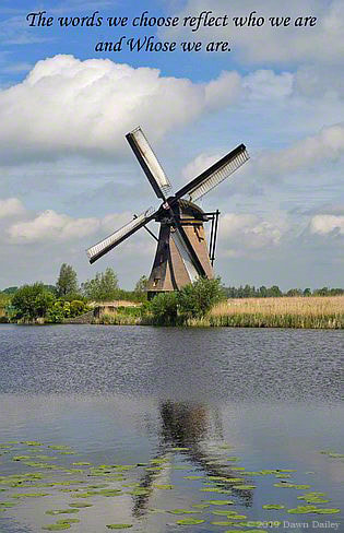 Picture